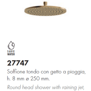 Round head shower with raining jet