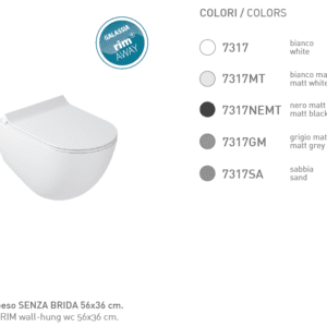 Without RIM wall-hung wc